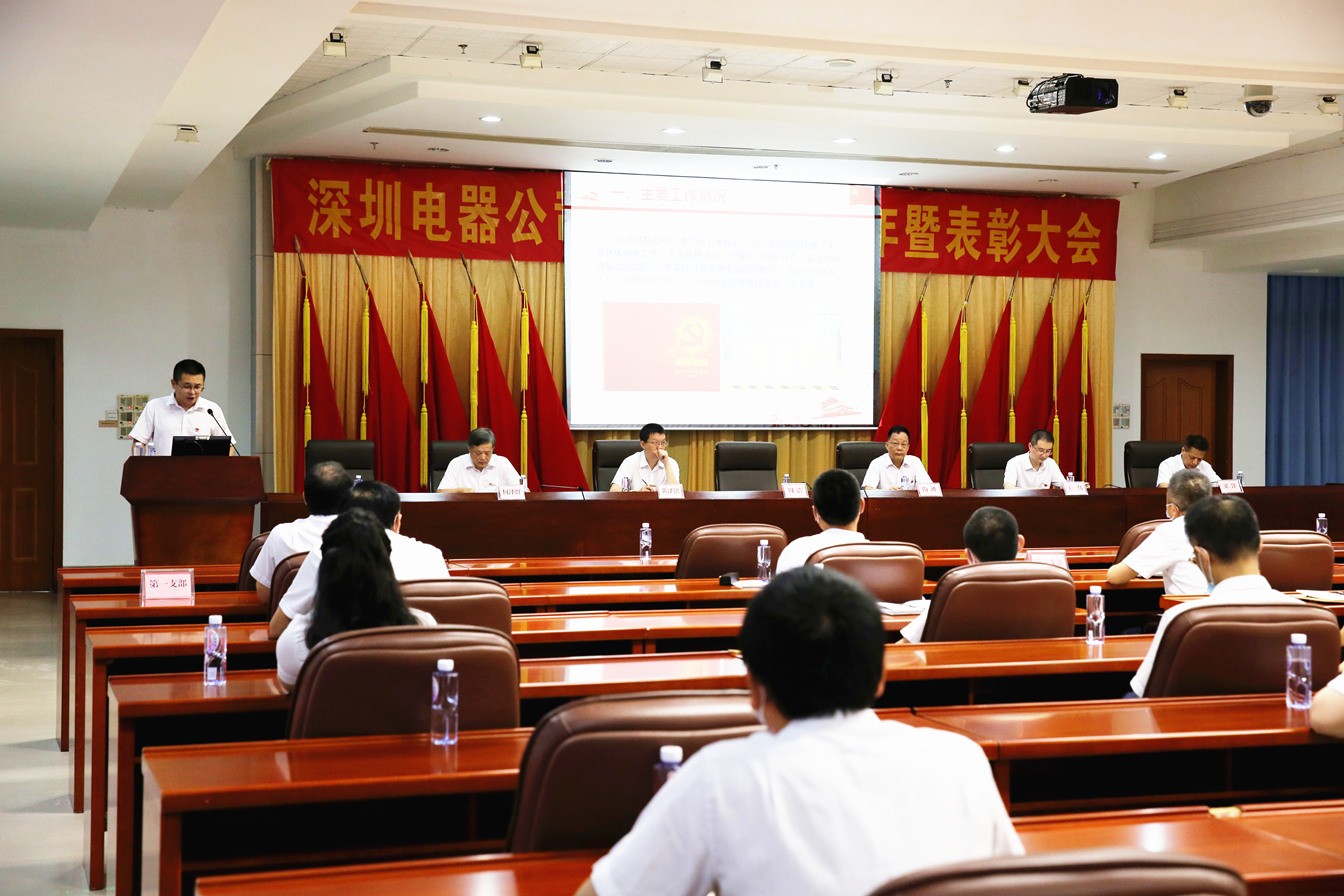 公司黨委召開慶祝建黨99周年暨總結(jié)表彰大會(huì)